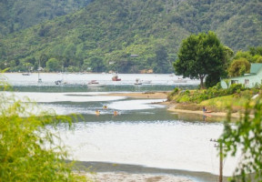 mfe 2019 summer water stock FillWzUwMCw1MDBd